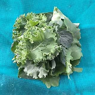 Steve RichardsPeter Millard