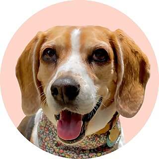 Basil