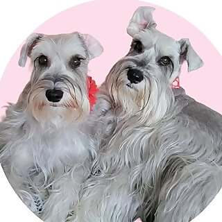 MAYA & BELLA