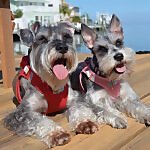 Maddie & Reggie