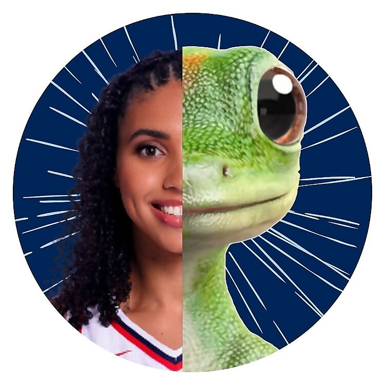 The GEICO Gecko
