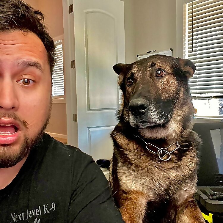 Tyler and K9 Arlo