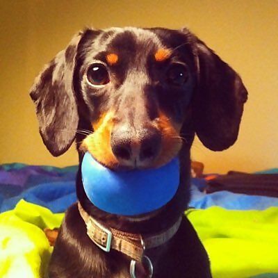 Crusoe
