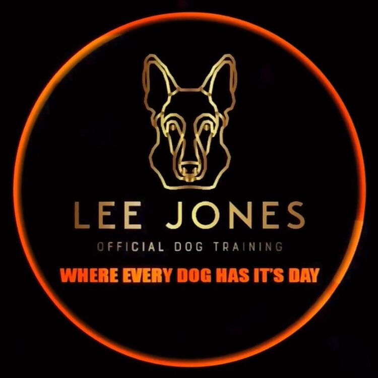 Lee Jones