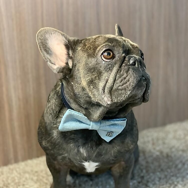 Bertie