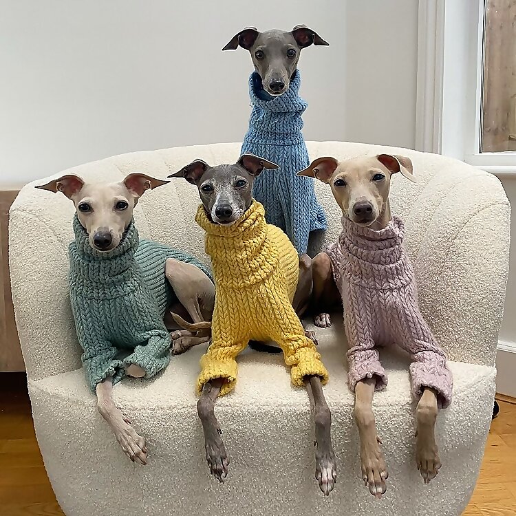 Winston & Twiggy & Cindy & Claudia