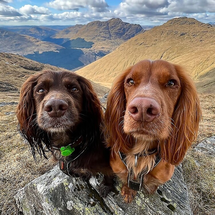 Hollie & Hugo & Spencer
