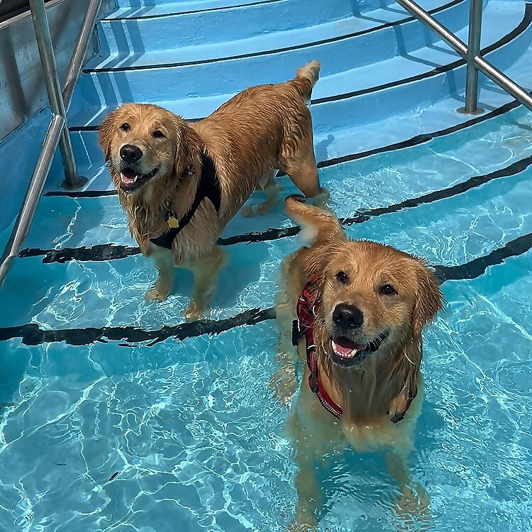 Koda & Cooper 