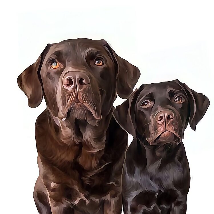 Moose + Poppy