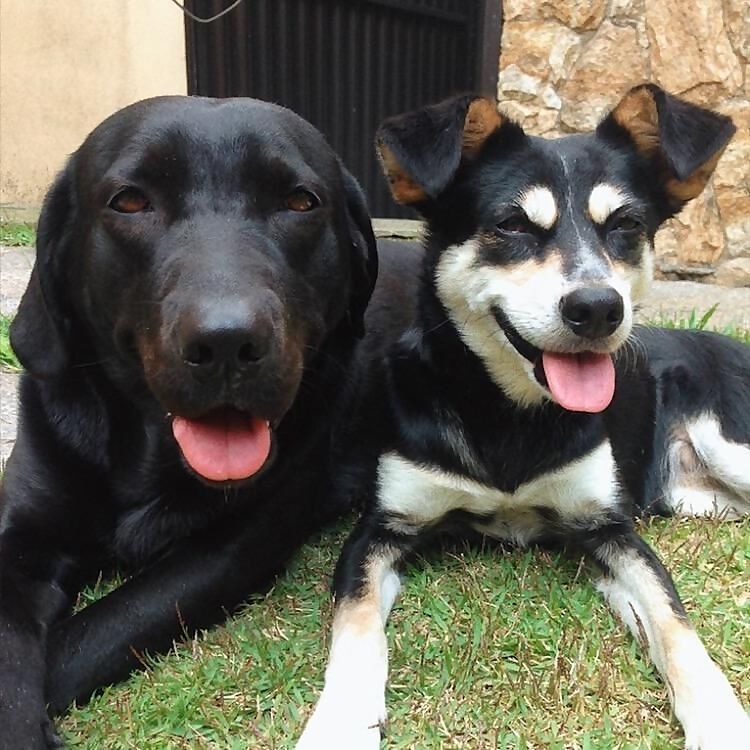 Luna & Mel