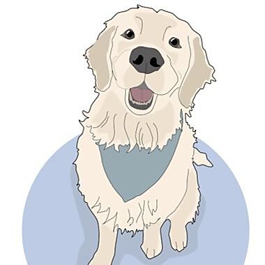Elton The Golden Retriever