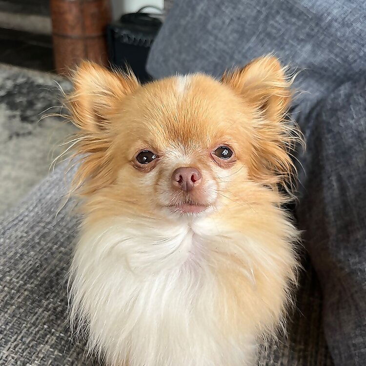 Milo