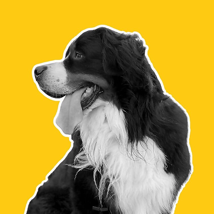 Kevin The Berner