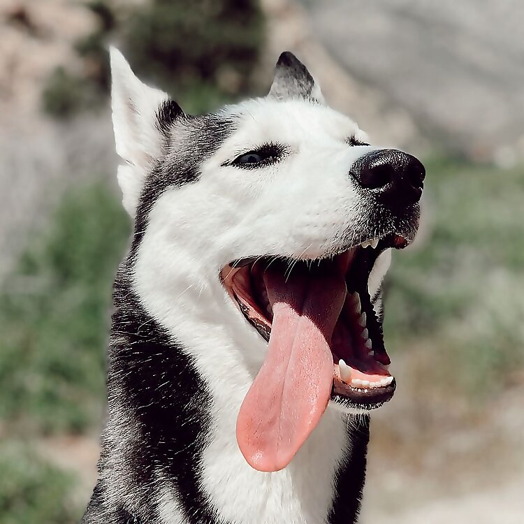 Ellie Mae