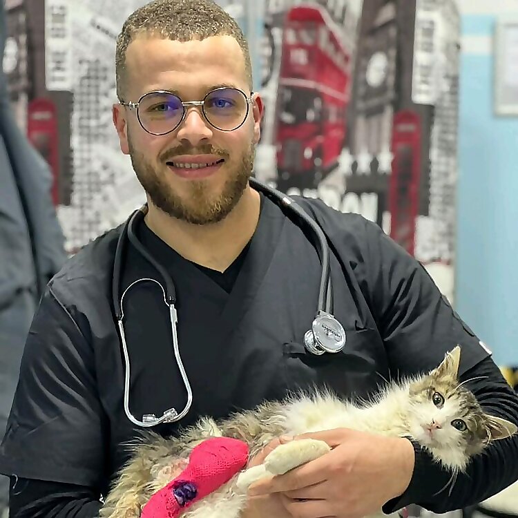 Dr. Bouladjine Hani