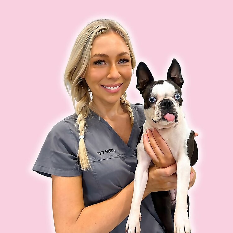 Tess Nolan