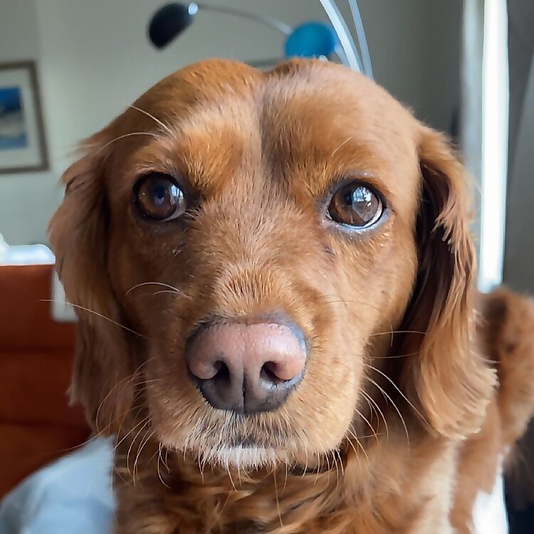 Greg