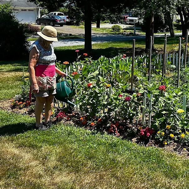 Betsy’s Organic Garden
