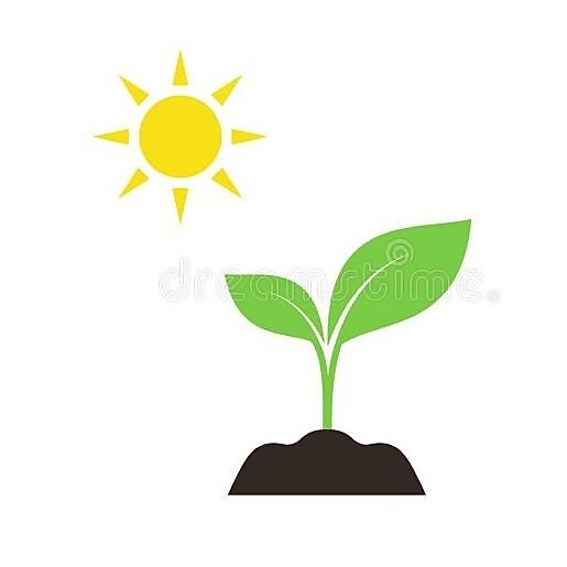 Ebrahim Y - organic gardener