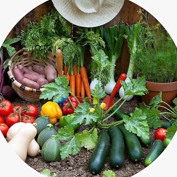 Organic Gardening