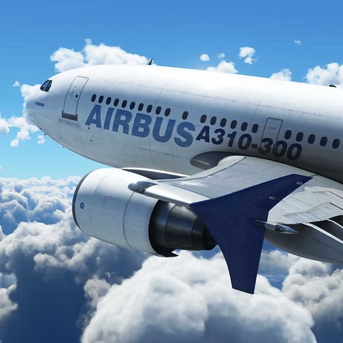 flight simulator