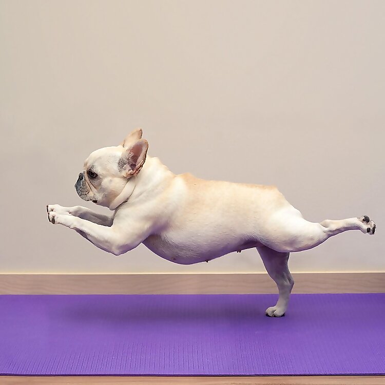 Yogawithu