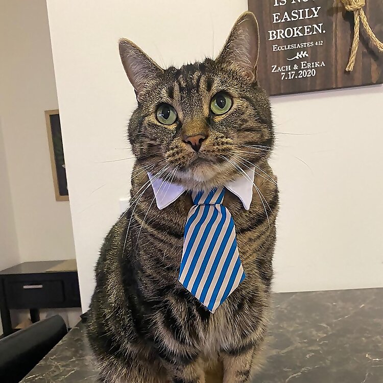 Milo