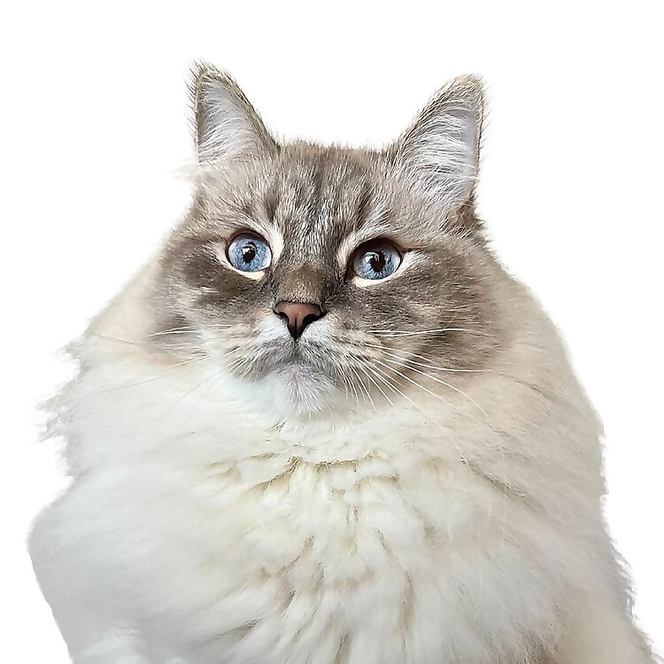 Nimbus