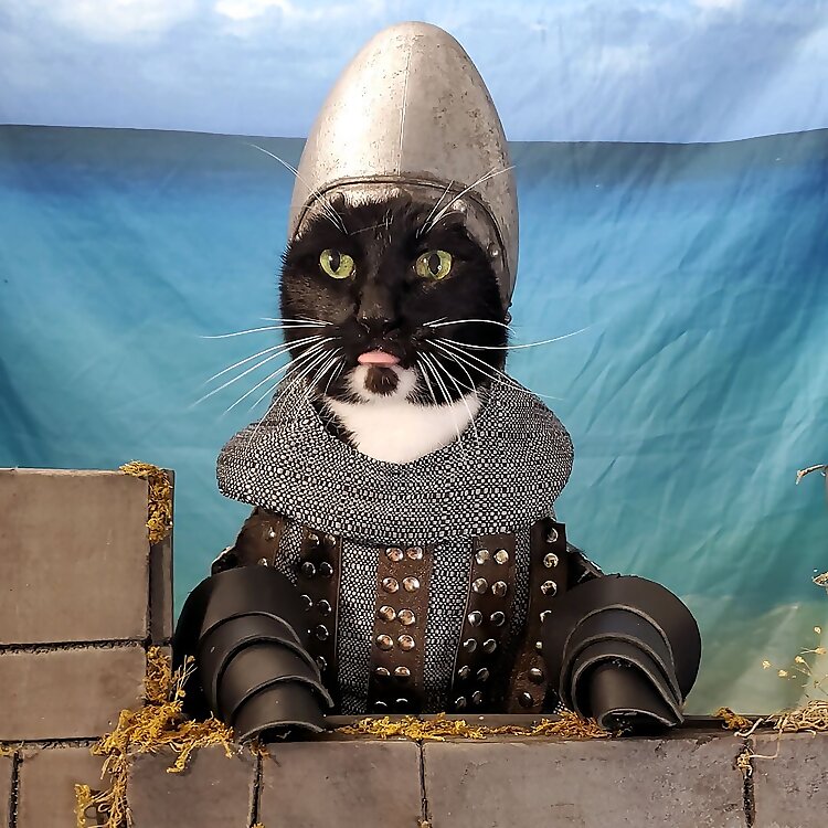 Cat_Cosplay_Inc