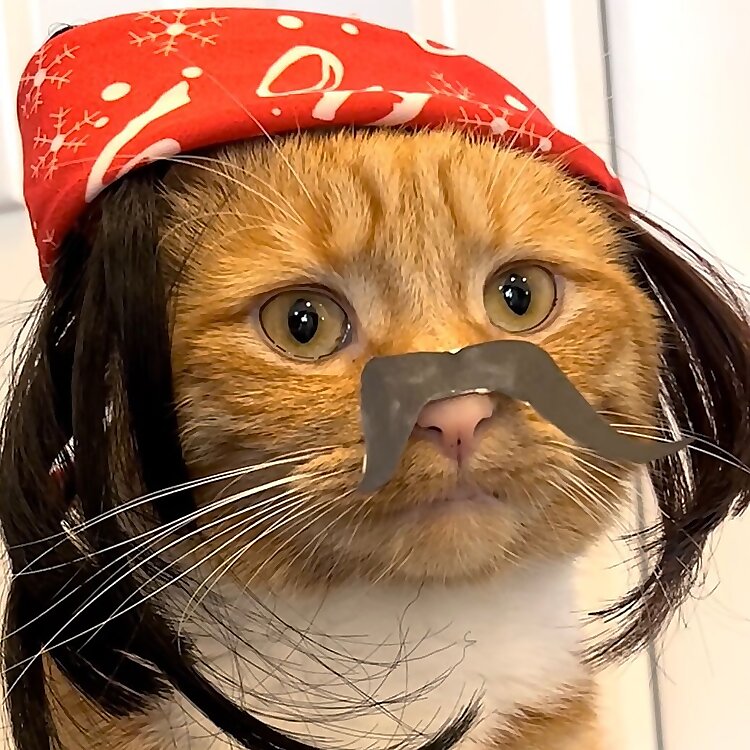 Ginger & Pepper