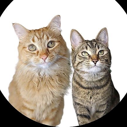 Gingi & Luna
