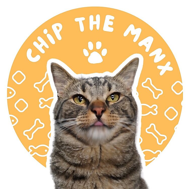 Chip