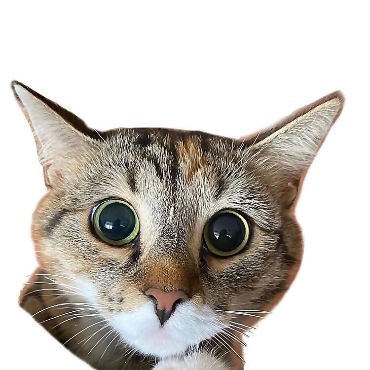 Pesyacat