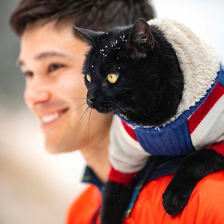 Simon Yosh