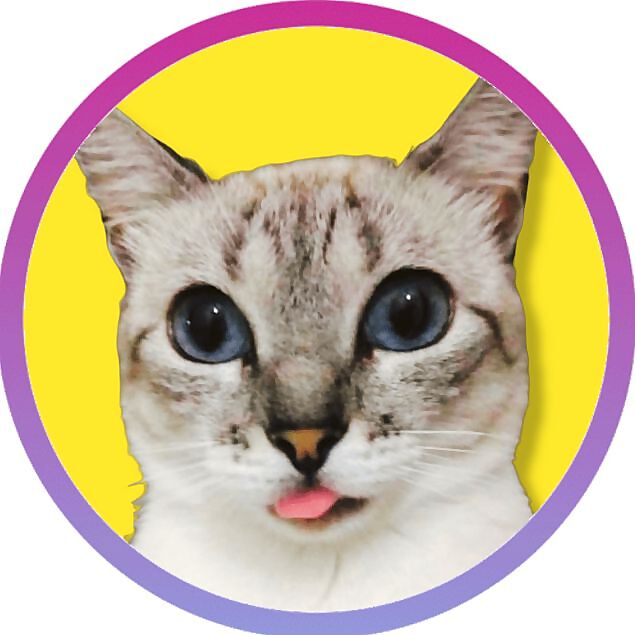 Jansen Gato