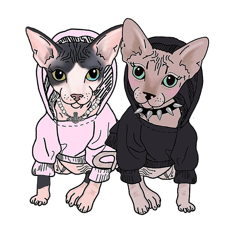 Remy & Viv