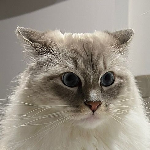 Melvin