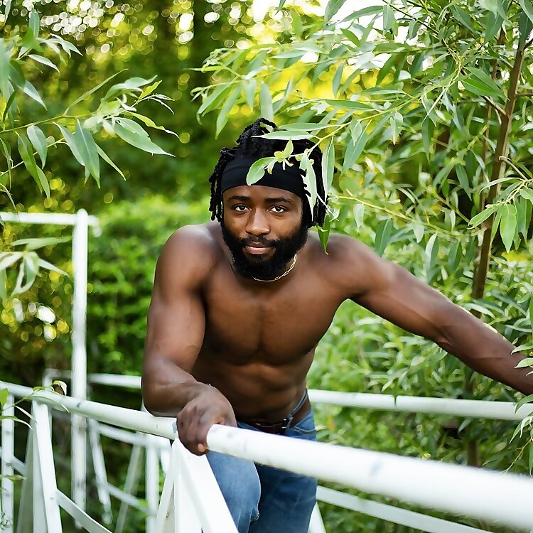 The Lyon Black