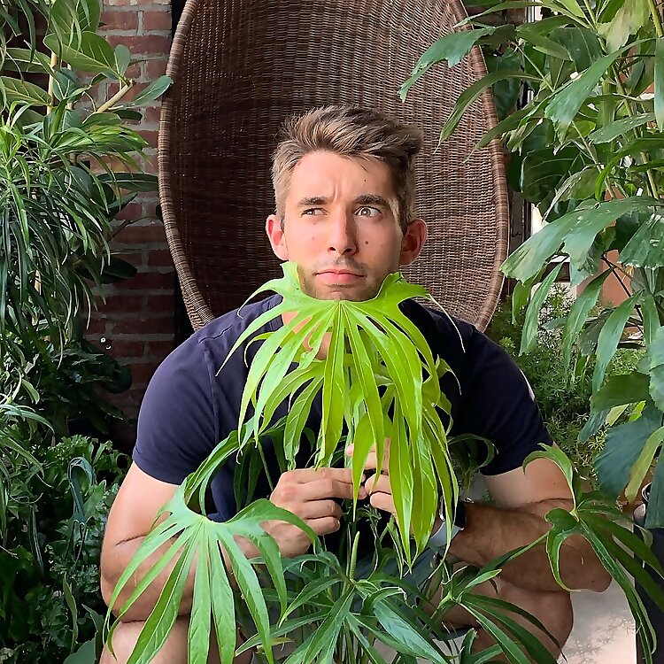 Nick Cutsumpas