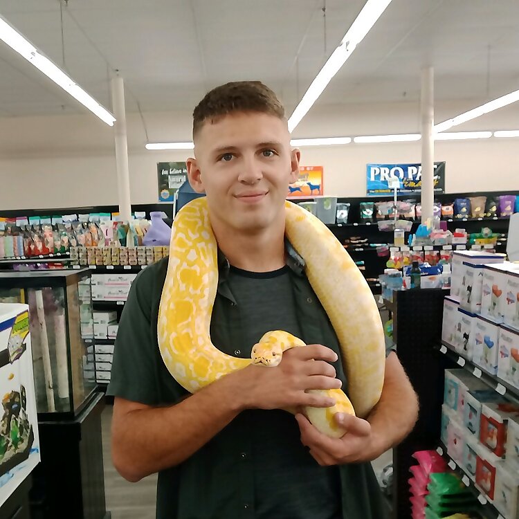 Andy