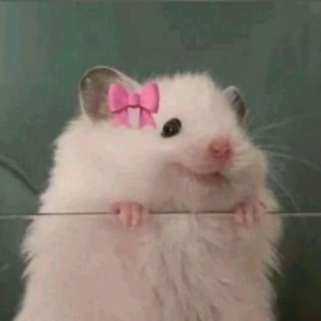 Diva Afi