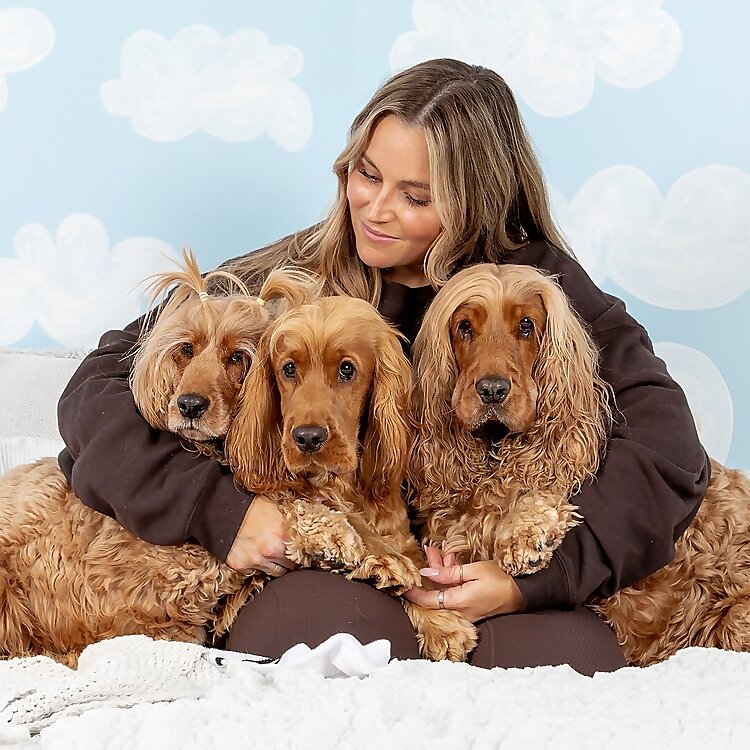 Charlie & Frankie & Sonny