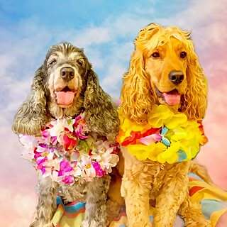Winston & Betty