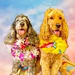 Winston & Betty
