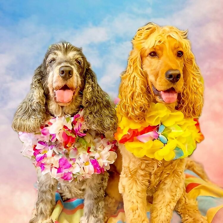 Winston & Betty