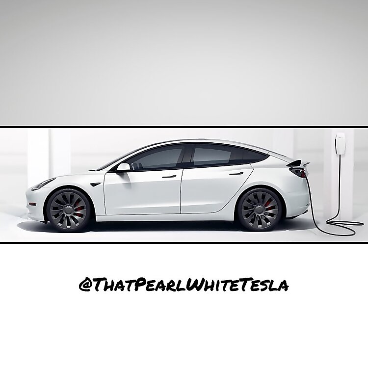 Tesla Enthusiast