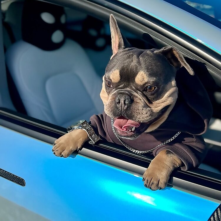 Kilo