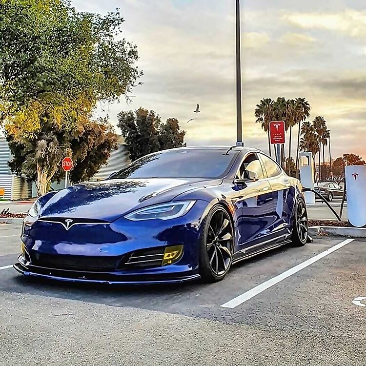 Tesla Lovers