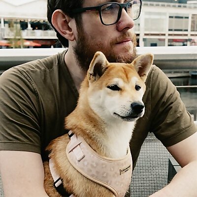 Diary of a Pro Gambler