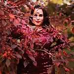 Sarah McArdle 